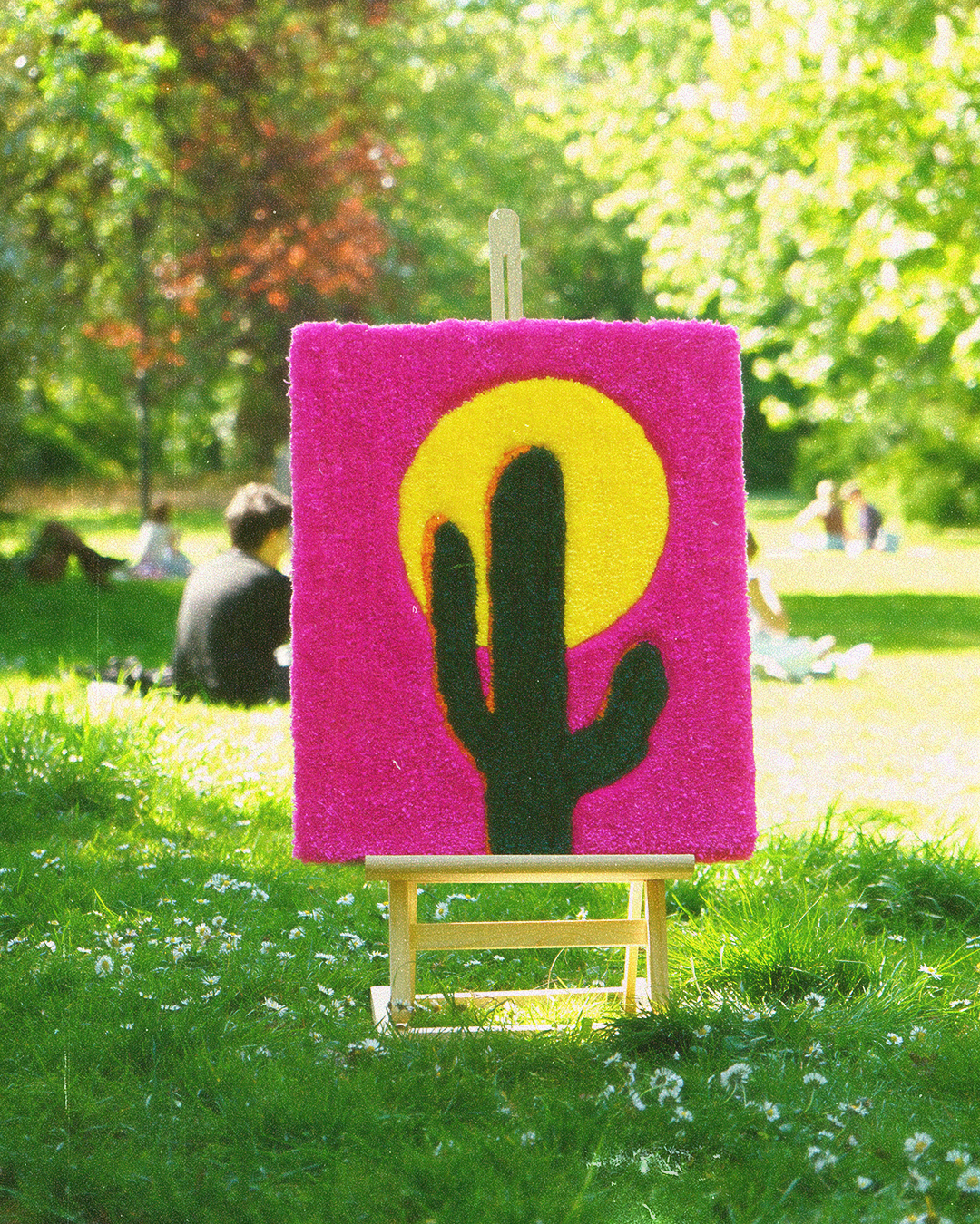 Cactus Moon